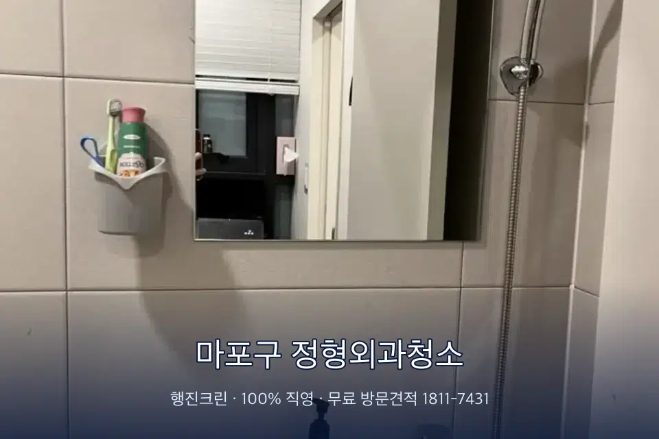 마포구 정형외과청소 병원 화장실 세면대 살균