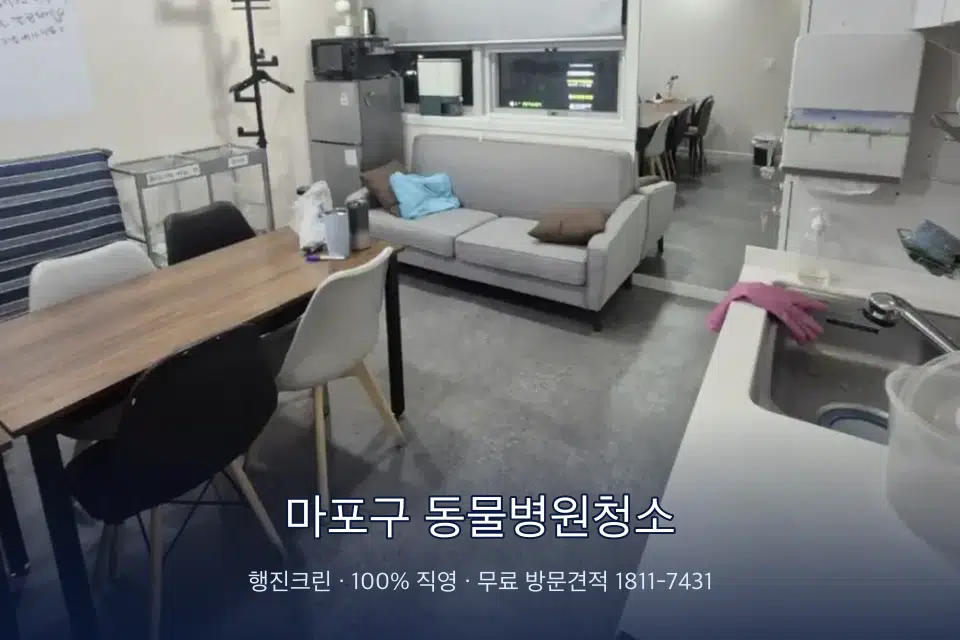 마포구 동물병원청소 병원 휴게 공간 의자 소독