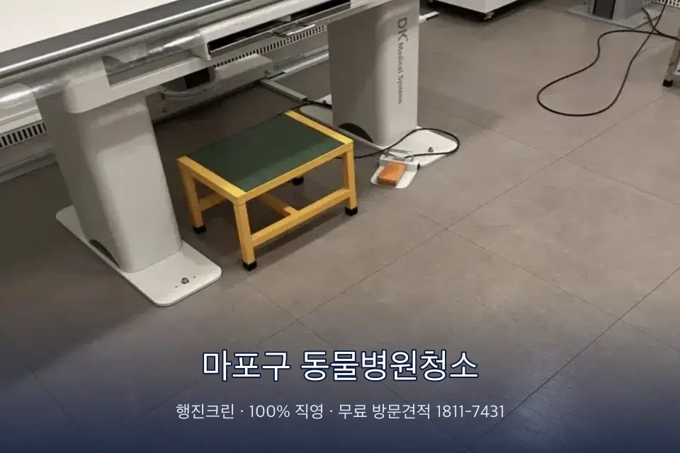마포구 동물병원청소 영상의학실 바닥 물걸레 작업
